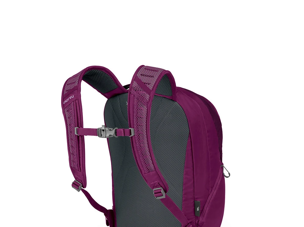 Osprey Axis (2018) - Image 2